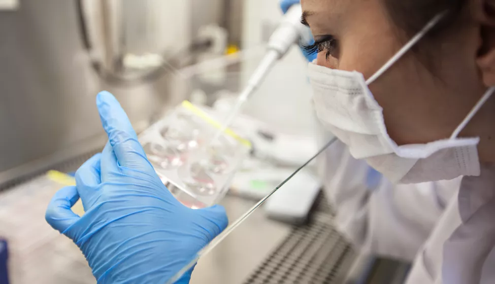 Scientist pipette liquid samples into a test container