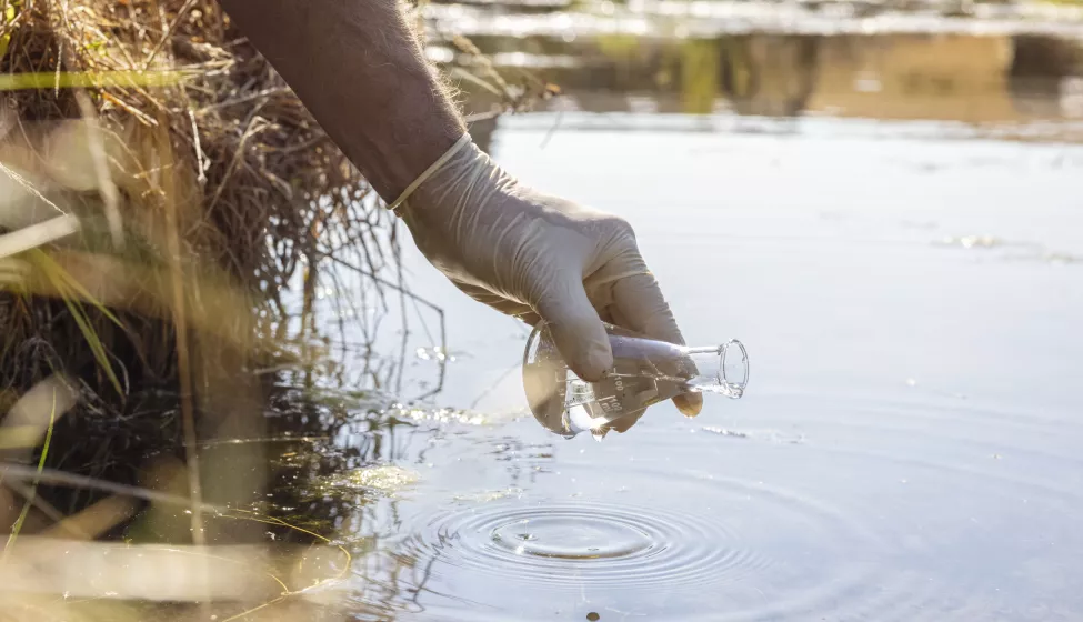Water sample and purity analysis test