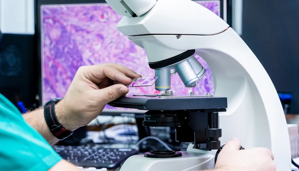 Laboratory assistant works with microscope at the modern laboratory