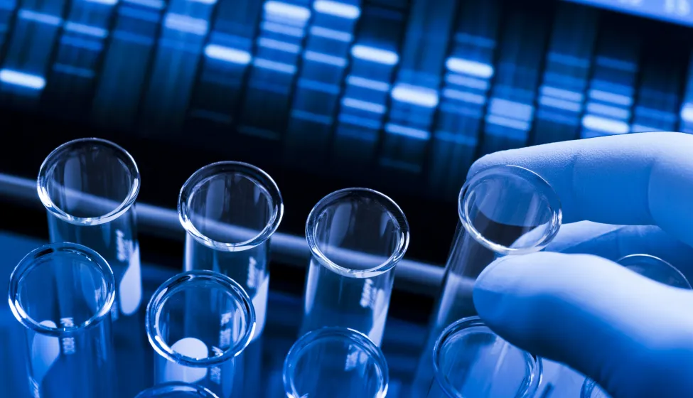 Genetic research at the laboratory