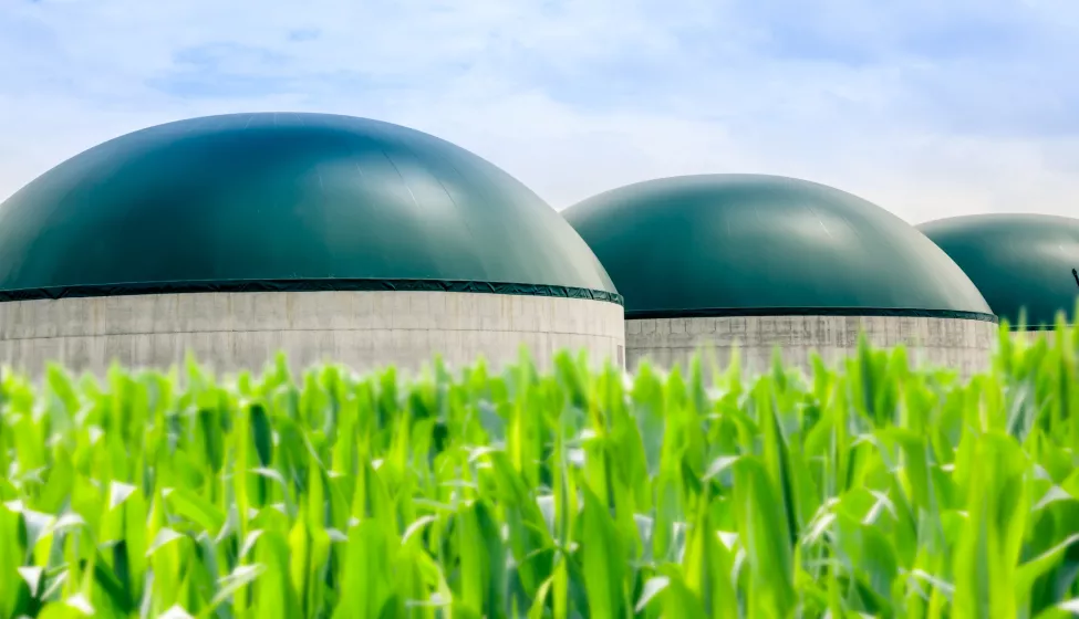 Modern Biogas Plant