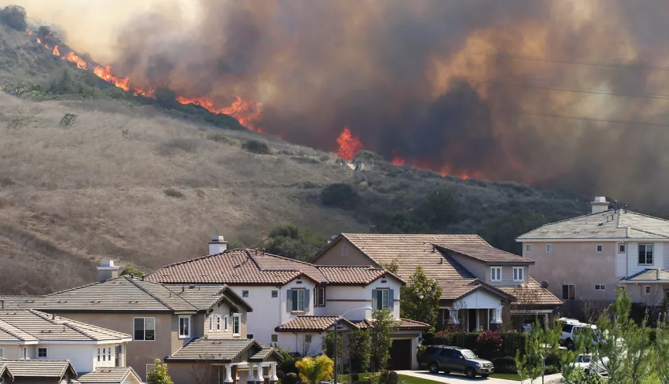 Wildfire Impact