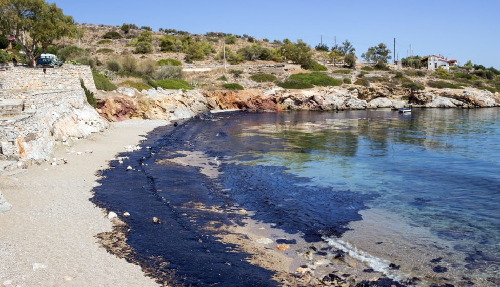 An oil spill pictured along a curved shoreline with buildings in the distance
