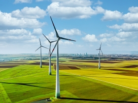 Wind turbines standing in a field of crops on a sunny day. Exponent engineers provide support for all energy systems.