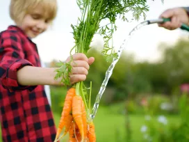 Health Canada’s Pest Control Products Act (PCPA) Extra 10x Safety Factor for Children - Case study