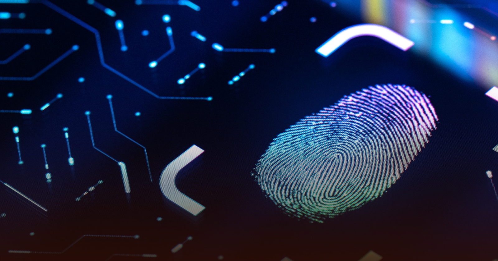 Biometrics fingerprint